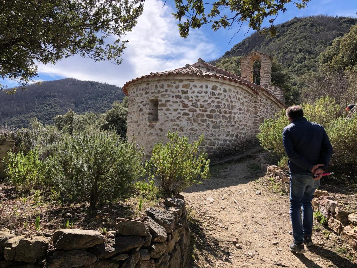 Villa Bonheur Vallespir Céret Exteriör bild