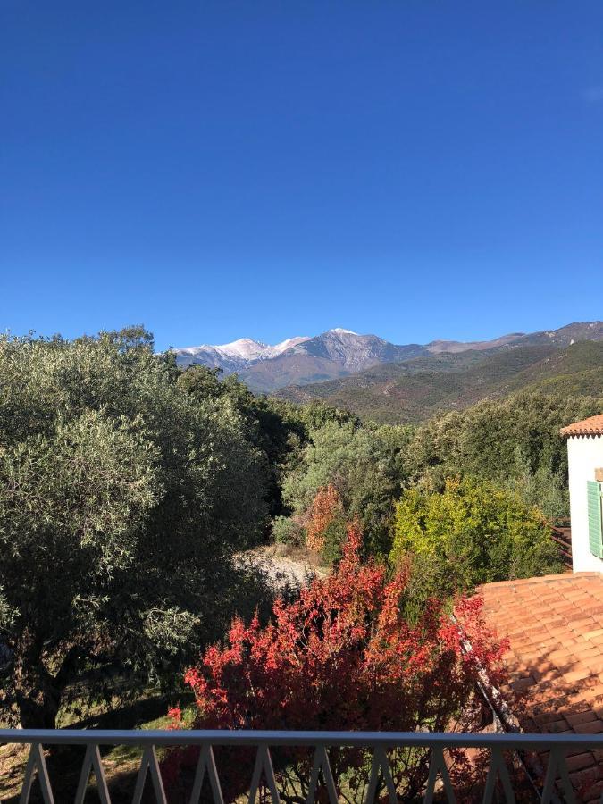 Villa Bonheur Vallespir Céret Exteriör bild