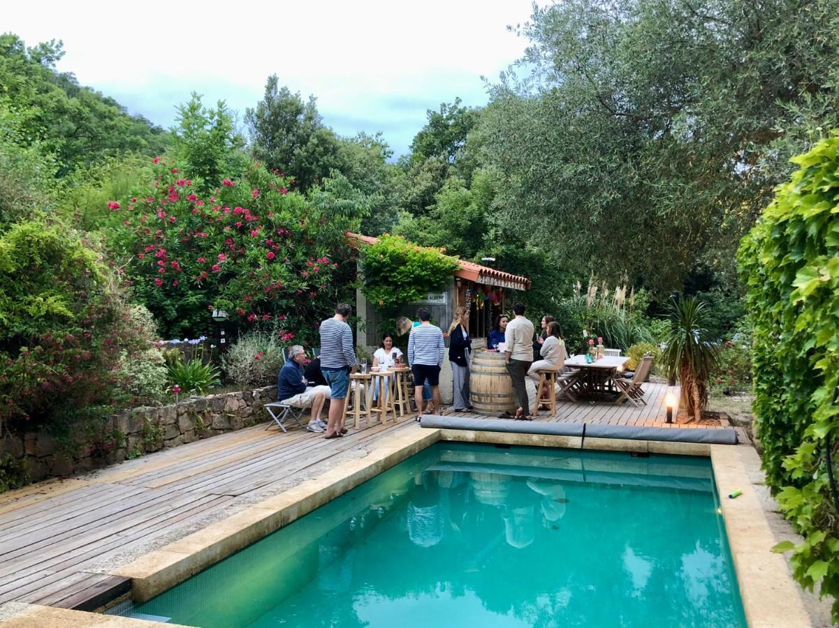 Villa Bonheur Vallespir Céret Exteriör bild