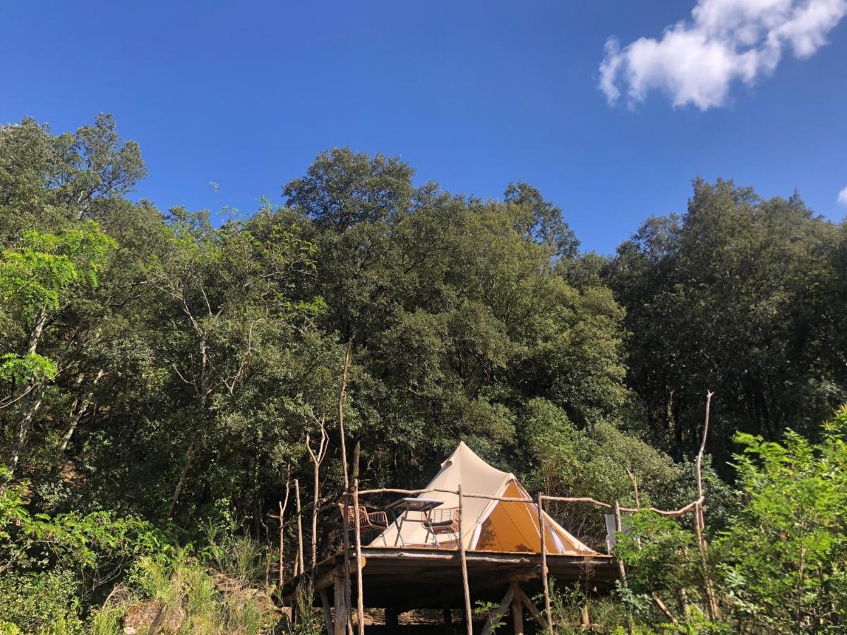 Villa Bonheur Vallespir Céret Exteriör bild