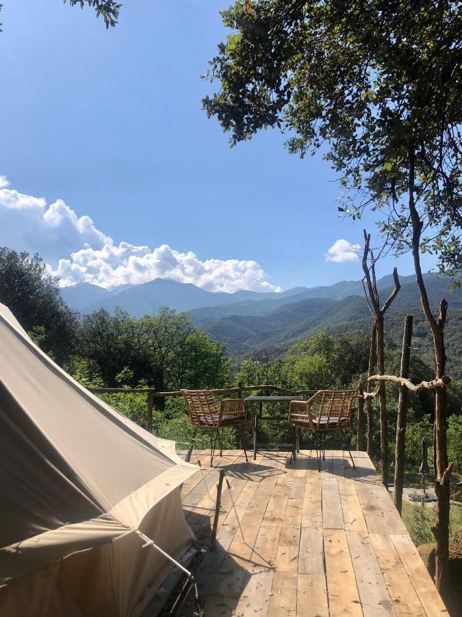 Villa Bonheur Vallespir Céret Exteriör bild