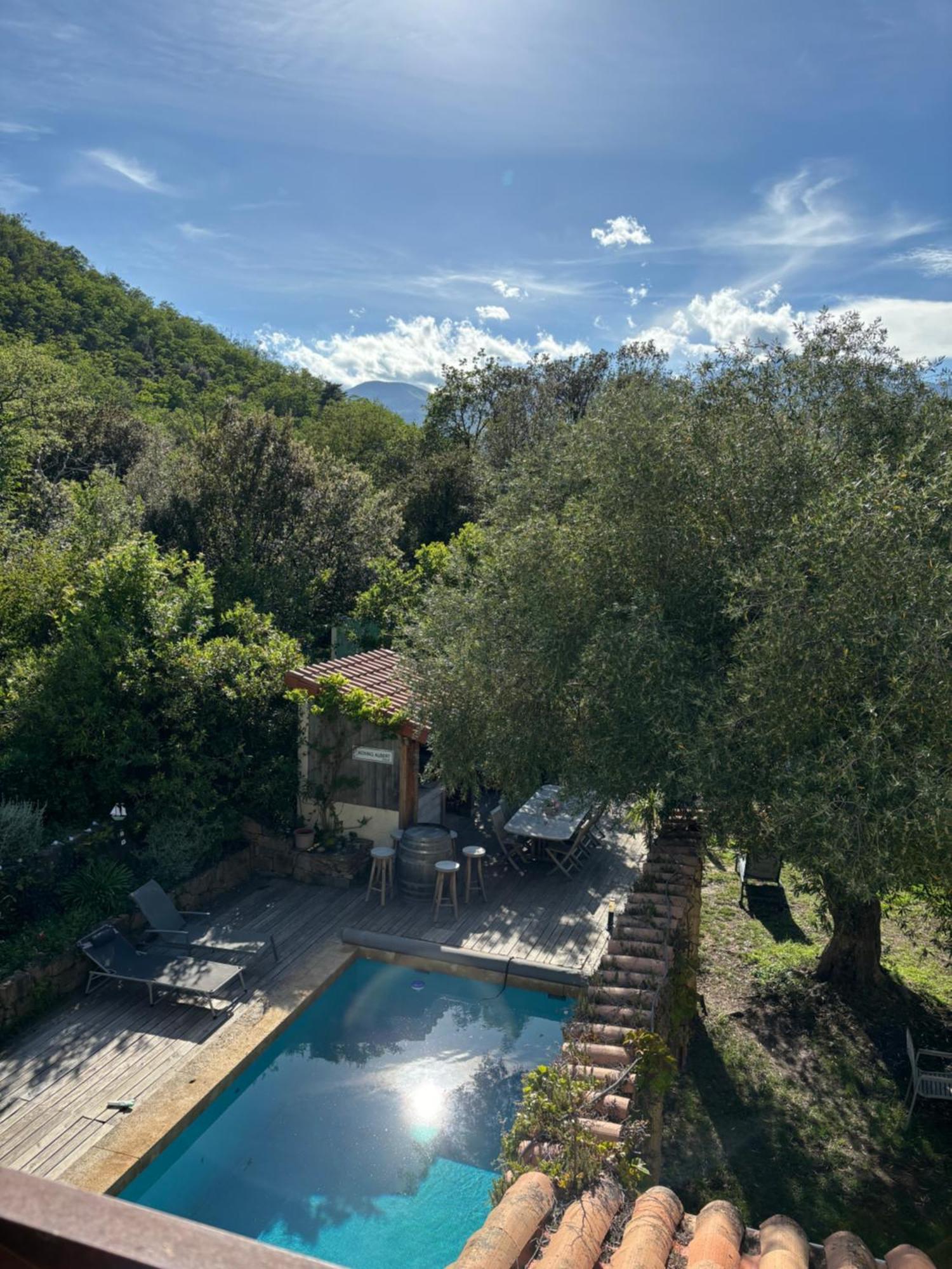 Villa Bonheur Vallespir Céret Exteriör bild