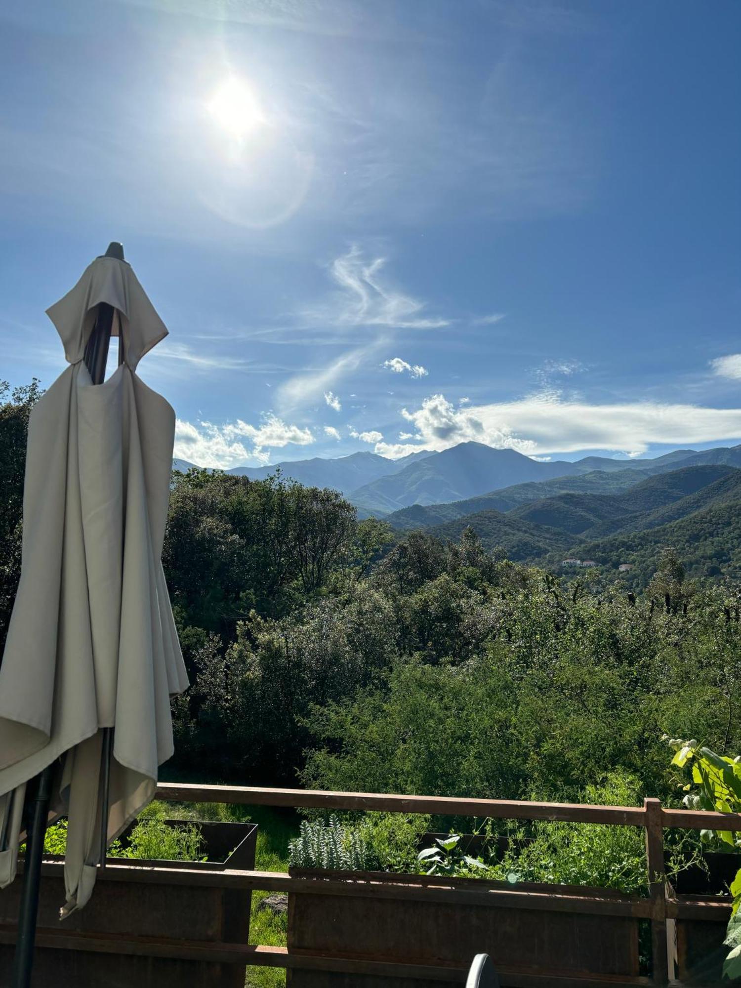Villa Bonheur Vallespir Céret Exteriör bild